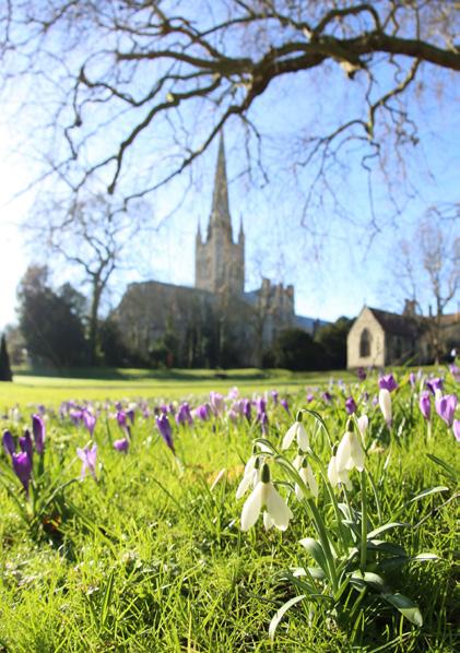 Events in Norwich The Story of Holy Week and Easter This year Churches in Norwich City Centre are joining together to tell the story of