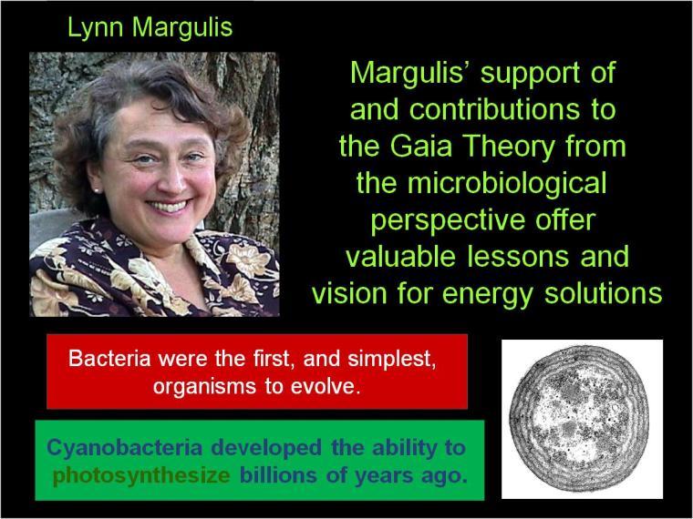 Martin Ogle These realities of evolution were rediscovered in the 1970 s by Lynn Margulis, now an evolutionist at the University of Massachusetts.