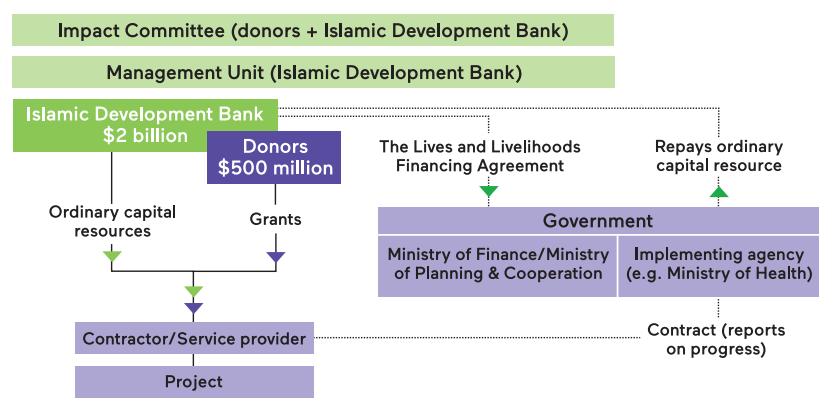 The IDB supports the governing committee of donors and the day-to-day operations of the LLF (Figure 7(b)).