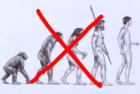 EVOLUTION = THE LIE By George Lujack GENESIS 1:1: In the beginning God created the heavens and the earth.