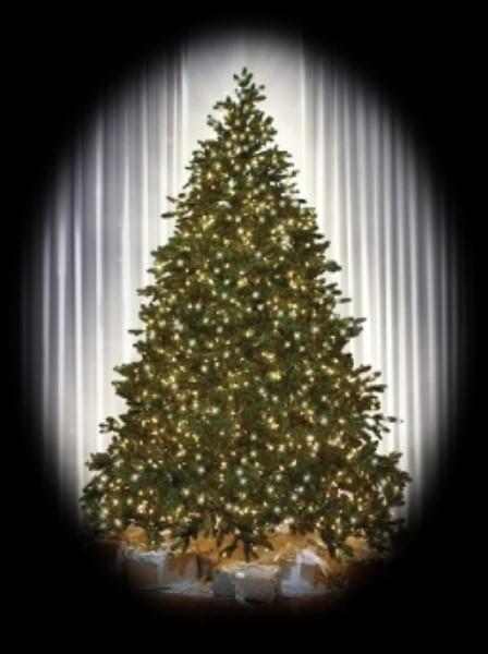 Help Decorate a Christmas Tree With Gifts for the Children at Texas Scottish Rite Hospital PAGE 5 The Ladies Auxiliary has been invited to the Scottish Rite Hospital in Dallas on December 1st to