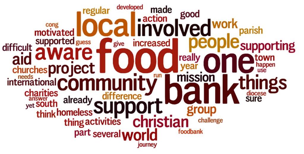 Clergy/LLMs were asked whether Living Faith had motivated their church to do anything else to help make a difference in the world. Here is a word cloud of the most common words used in their comments.