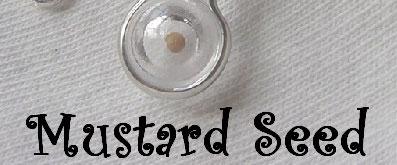 Mustard Seed Necklace Materials Large size wiggly eye Small piece of construction paper Mustard seed (found in grocery stores) Thin cord Glue Scissors Directions Remove the back of a plastic wiggly