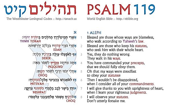 Psalm 119:1-8 Reveals the Aleph Message: Go deeper in your understanding of the Aleph message by putting what you have found all together now.