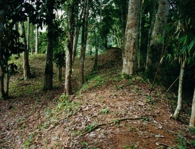 Asyaari Muhamad 213 Foto 3. Parit pertahanan di luar tembok Johor Lama Makam-makam Di negeri Johor, terdapat kira-kira 211 buah perkuburan yang bertanda batu nisan Aceh (Perret & Kamarudin Ab.