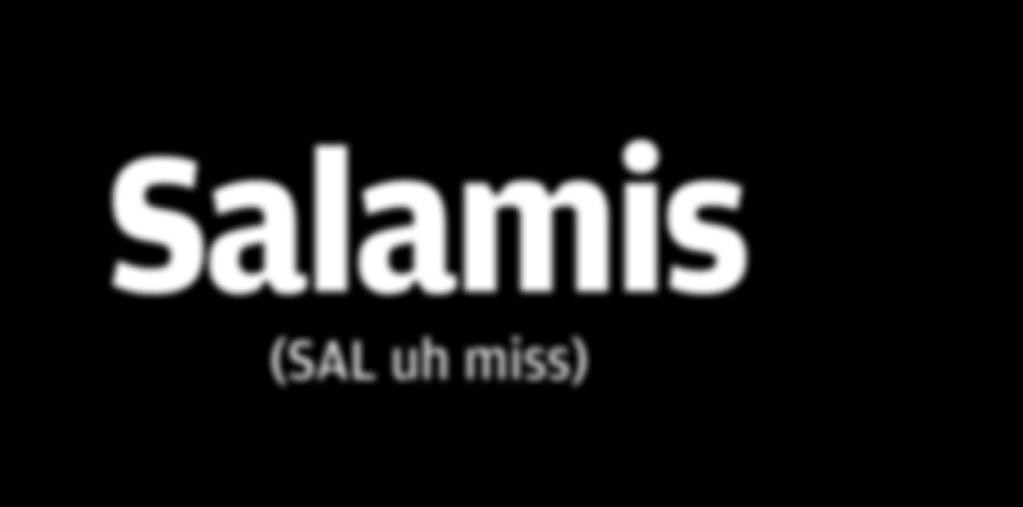 Salamis (SAL uh miss) Seleucia (sih