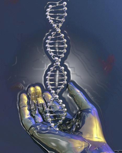 DNA Activation, Brain Repatterning & Clearing