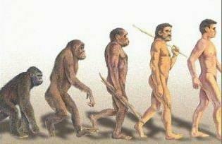 Influence: Social Darwinism Scientific theory regarding human evolution Socialisation, civilization, culture and