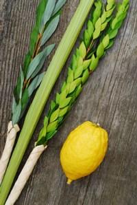 SUKKOT Hebrew name means: Booths or tabernacles. The singular is sukkah. What's it about? In ancient times when the Temple stood in Jerusalem, this was a pilgrimage holiday to celebrate the harvest.