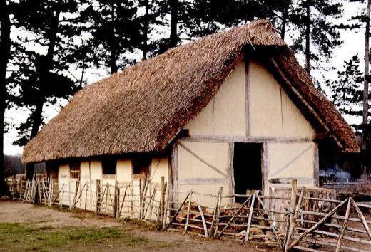 Serfs lived in crowded cottages, one or two room shacks. If it was a two room cottage, the main room was used for cooking, eating and household activities.
