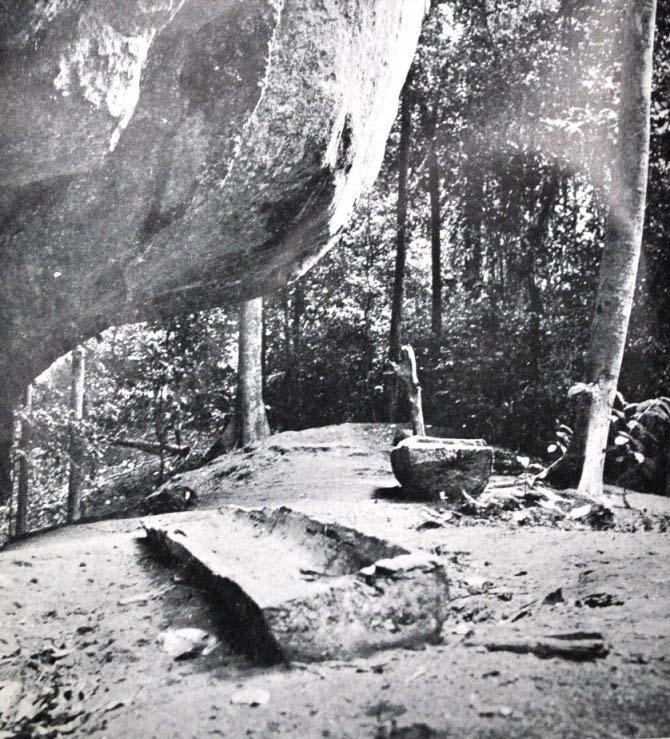Yunus Sauman Sabin et al. / 531 Gambar 21: Keranda kayu balak di tapak Baturong (Harrisson dan Harrisson, 1969-70).