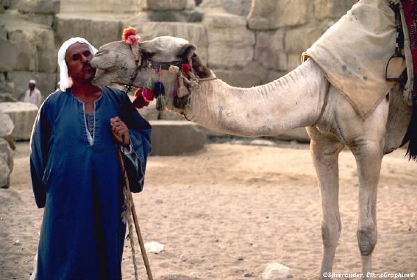 Muhammad Became a camel driver, caravan trader, & merchant Married a wealthy businesswoman and widow named Khadijah in 595