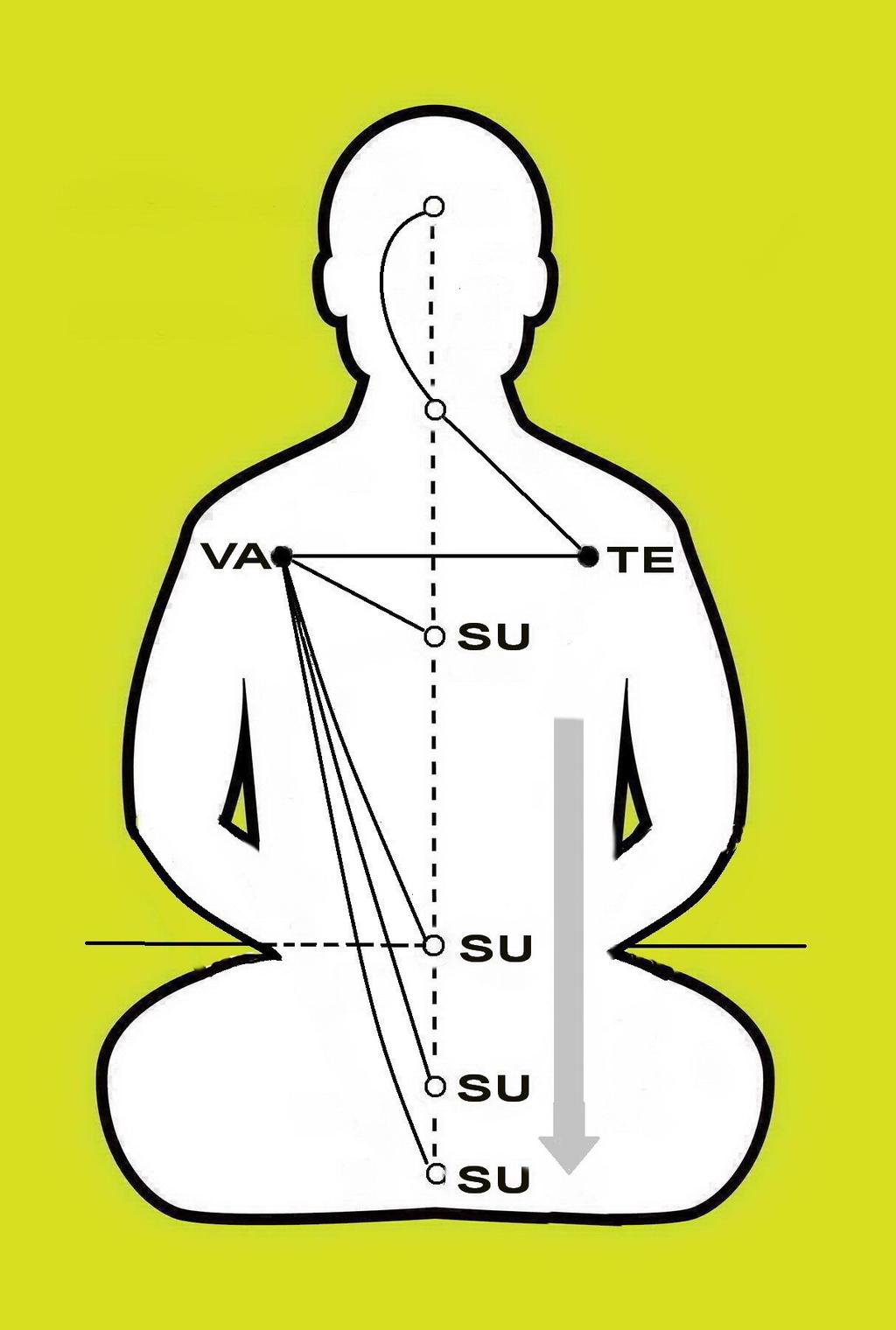bit in order to touch the front part of the right shoulder. There is no stress in this movement. Vibrate ''Teee'' in the point at the right (see figure 23.