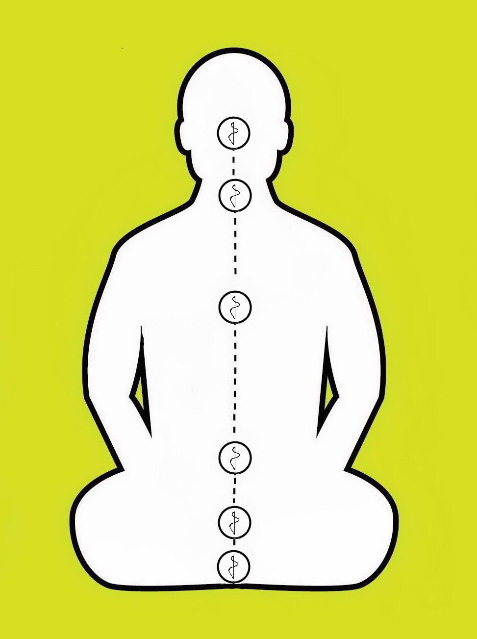 Explanation Practice Japa with the Vasudeva Mantra. Repeat it whispering all its 12 syllables (Om Na Mo Bha Ga Ba Teee Va Su De Va Ya) in each Chakra, up and down.