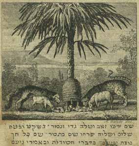 Published by Rabbi Yisrael Landau, son of the Nodah B'Yehuda. Igeret Orchot Olam is the first Hebrew composition written about the discovery of the "New World".