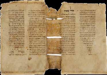 272 273 272. טור אבן העזר - שרידי כתב-יד על קלף - אשכנז, המאה ה- 14 טור אבן העזר. שרידי דפים מכתב-יד על קלף, ששימשו ככריכה לספר.