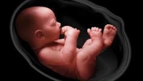 1. God s eternal love for us existed before we were even born Before I formed you in the womb I knew you,