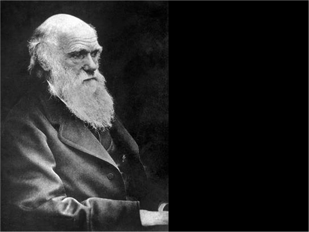 ʺ Charles Darwin, Origin of Species, Chapter 6 ʺDifficulties of the Theoryʺ section ʺModes of Transition.