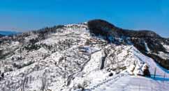 Rest of the day is free to explore. Overnight stay at Shimla. Day 03: Shimla-Manali Morning drive to Manali (7-8 hrs). Pass by beautiful Kullu Valley, Beas River, Dashehra Maidan etc.