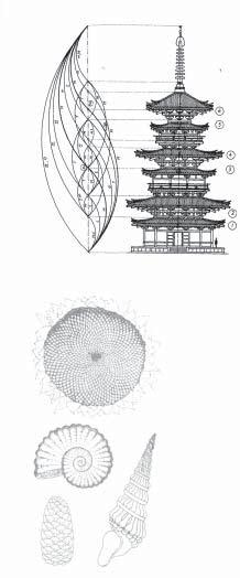 204 Fig. 7-38. Pagoda of Yakushiji Temple The phi proportions are built into this Japanese pagoda architecture [Fig. 7-38]. This illustrates another point about creativity that I want to make.