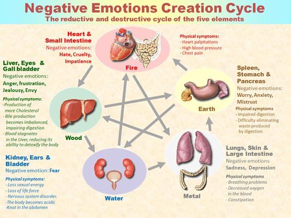 Figure 2. The negative emotions are the body's garbage.