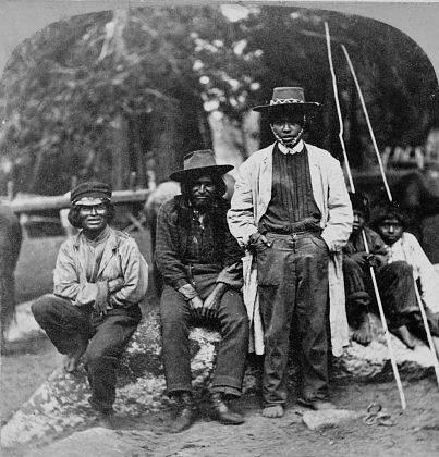 Disease and forced labor reduced the Native American population in California from about 150,000 in 1848 to 35,000 by 1860. This image shows a Group of Piute Indians.