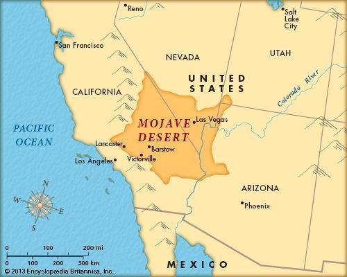 The Mojave Desert is our home. It has not always been a desert, but we will save that for later, keeping in mind that this is where we live, work, and go to school.