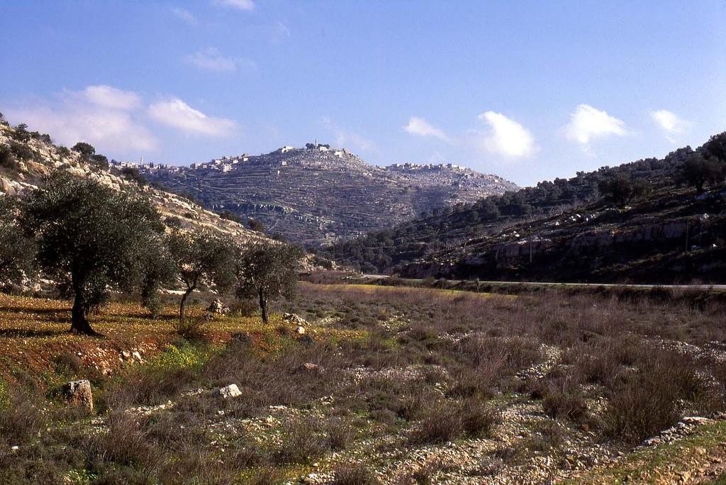 Geography of Amos The hill of Samaria. For 160 years, it was the capital of the northern kingdom, apparently reaching a size of 150 acres (as large as Jerusalem in Hezekiah's time).