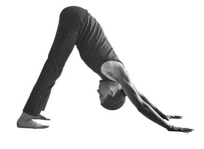 8. Adho Mukha Svanasana - Downward Facing Dog Physical posture: Lift the pelvis towards the ceiling, pressing back into an inverted v shape. This is the same position as #5.