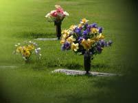 50 Have you lost a loved one by death a little baby that you have laid in the grave?