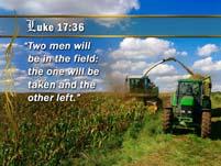 113 Luke 17:36 Two men will be in the field: the one will be taken and the other