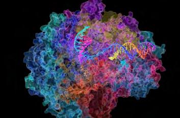 gene editing: harnessing the power of nature Special proteins read the genetic code found in all living things.