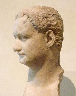 Domitian Follows His Bro... Domitian is twelve years younger than Titus.