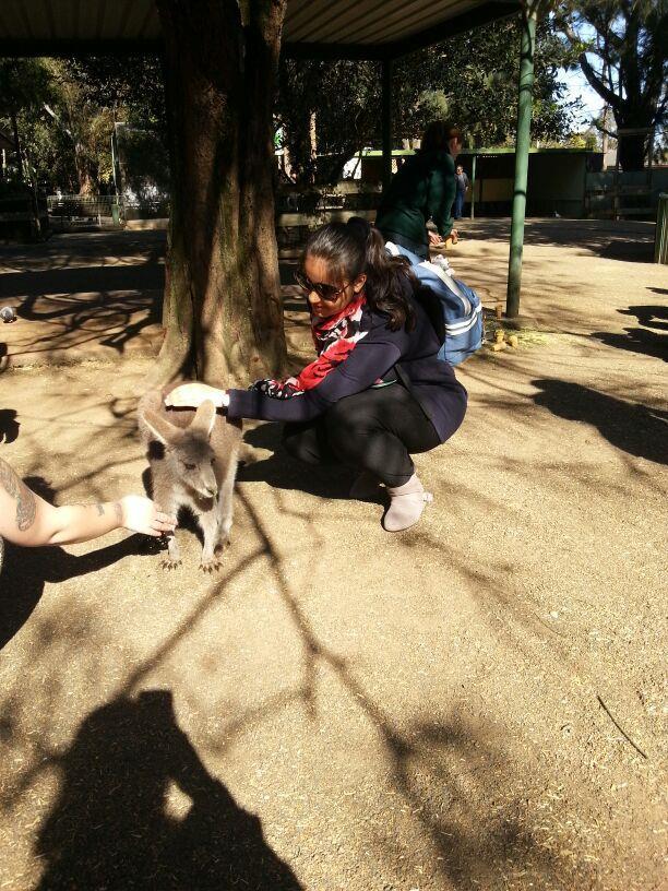 During the weekends, we went to the place where Olympics was once held. Then we went to the zoo. Having a chance to see and touch koalas and kangaroos was really a once in a lifetime experience.