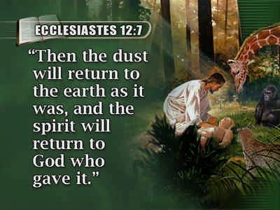 for out of it you were taken; For dust you are, and to dust you shall return. Genesis 3: 18, 19.