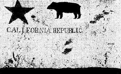 A photo of the original Bear Flag taken before it was