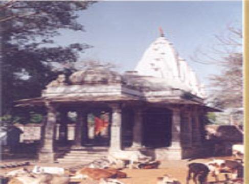 Chamunda Temple, Gazanikheda (Runjia) This east-facing temple is in a good shape.