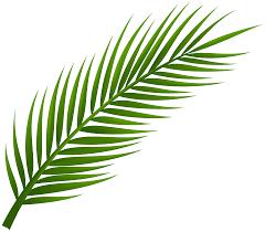 Week 7 Holy Week Week 7 Day 1 Palm Sunday (To Be Read On Monday) They took palm branches and went out to meet him, shouting, Hosanna! Blessed is he who comes in the name of the Lord!