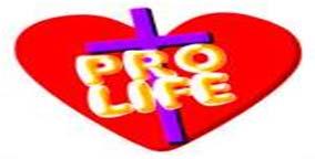 For Reflection: When people question about whether a Priest should marry? A better question to meditate on Was Jesus married??? PRO LIFE REFLECTION From today's 2nd Reading, Hebrews 5: ".