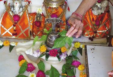 of Shiva-ratri, Shaiva devotees observe a vigil all night and offer billi leaves while chanting Om Namah Shivaya. The billi leaves are considered to be very sacred.