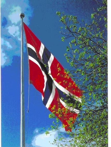 Facts about Norway s Constitution Most of us know that the Constitution was signed on May 17, 1814, a day that Norway celebrates today with massive parades and parties annually.