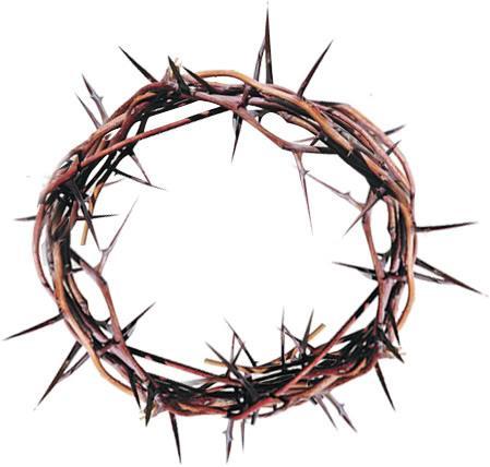 And the soldiers having twisted together a crown of thorns, put it on His head, and threw a purple cloak around Him, and they kept coming to Him and saying, Hail, King of the Jews!
