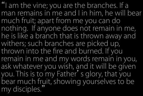 8/6/12 John 15:5-8 I am the vine; you are the branches. If a man remains in me and I in him, he will bear much fruit; apart from me you can do nothing.