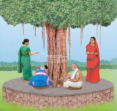 on this day, women fast and worship the Vat (Bargad) tree to pray for the growth and strength of their husdand and families.