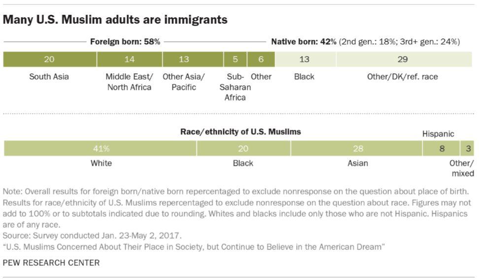 In the United States, many Muslims are immigrants: (Pew Forum, U.S. Muslims 22) Of these, in 2017, not more than 15% of U.S. immigrant Muslims are from a single country (32), and of all U.S. Muslims, 82% are citizens, 42% born in the U.