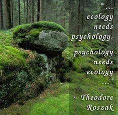 ECOPSYCHOLOGY Restoring the Earth; Healing the Mind by T. Roszak, M. Gomes, A. Kanner (Editors) THEMES: ~Psyche and nature are embedded in each other.