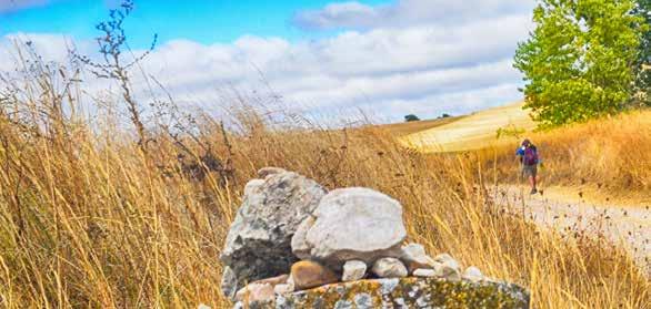 Camino de Santiago Sample Itinerary For 2018 Marian Pilgrimages are offering numerous different walks along the Camino.
