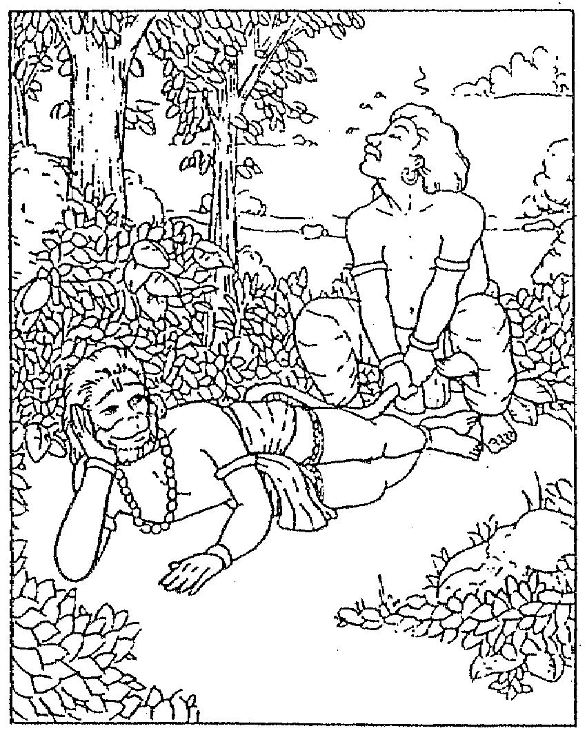 pursuing the teasing smell. Suddenly he found something blocking his way. He saw a monkey resting with its tail blocking the way. Bhima requested the monkey to give way for him.