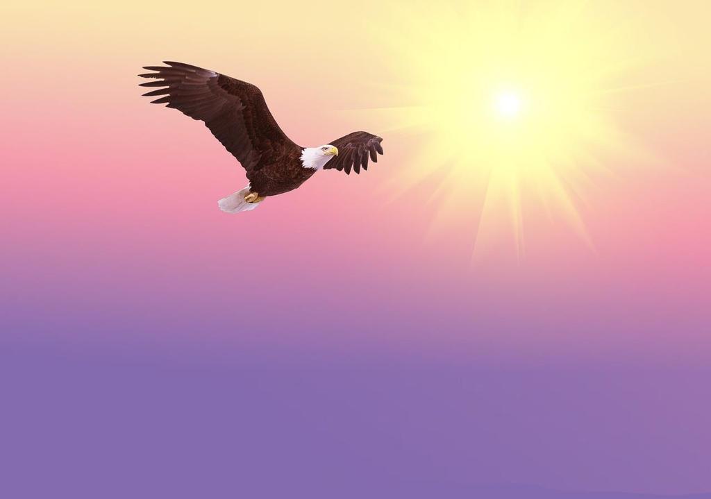 So simply see yourself gliding as a mighty blue eagle high above the earth, above all human effluvia and mindlessness and in the pure stream upon which you glide and move and soar.