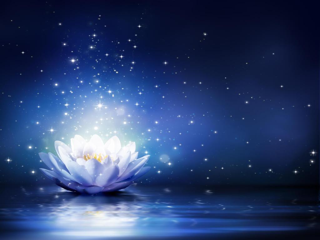 Retreat of the Blue Lotus Few of you remember your experiences with me on the inner, yet, I